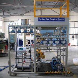 Packed Bed Reactor Systems