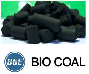 Bio Coal