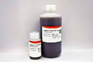 DNA Extraction Gel