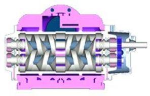 Tushaco make Two Screw Pumps