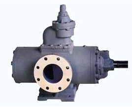 two screw pump