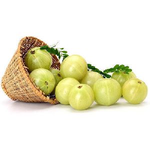 Fresh Amla