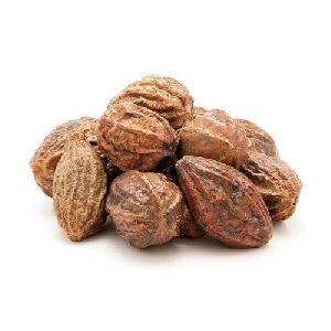 myrobalan nuts