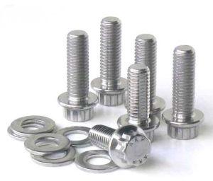 Stainless Steel Fastener