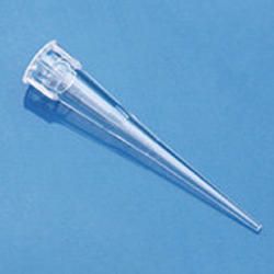 Micropipette Tips