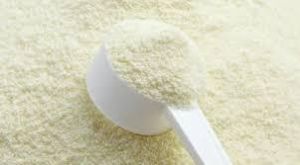 Whey Protein Concentrate