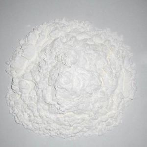 pregelatinized starch powder