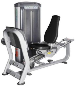 Seated Leg Press Machine