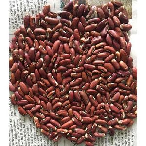 cowpea seed