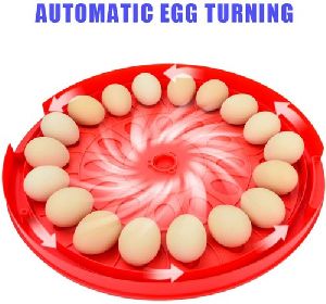 30 Egg Incubator