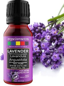 Lavender Oil