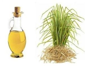 Vetiver Oil