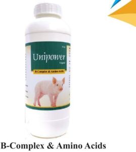 Unipower B-Complex & Amino Acid Liquid