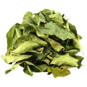 dehydrated curry leaves