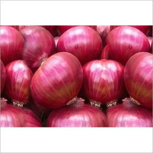 Fresh Onions