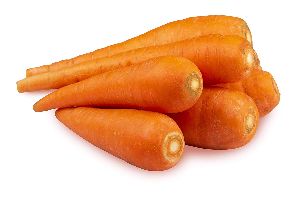 Fresh Carrot