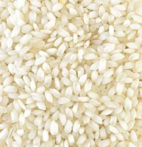 CR 1009 Rice