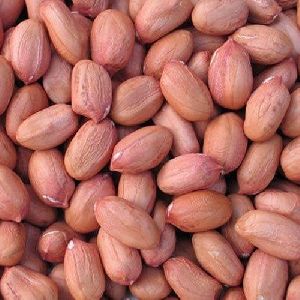 java groundnuts