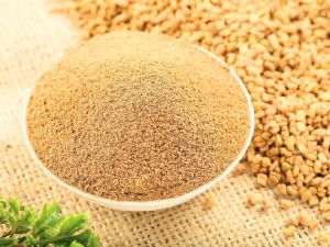 Fenugreek Powder