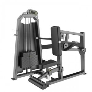 Seated Dip Machine