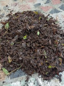 Leaf compost