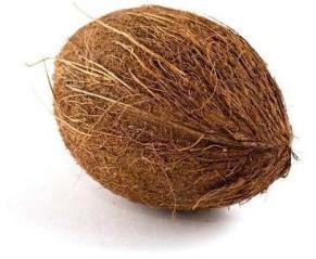 Brown Coconut