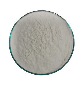 Sodium Caseinate Powder