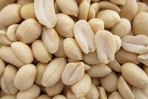 Blanched Peanuts