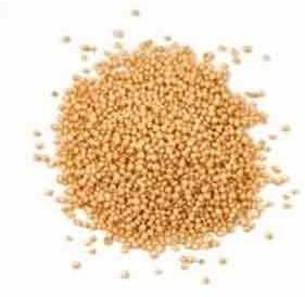 Amaranth Seed