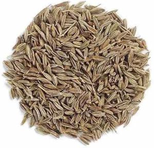 white cumin seeds