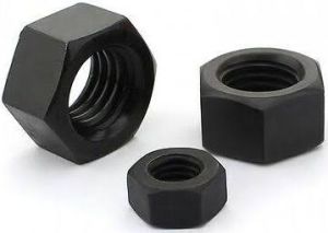 Hex Nut