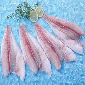 Untrimmed Frozen Basa Fish Fillets