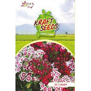 Sweet William Mix Flower Seeds