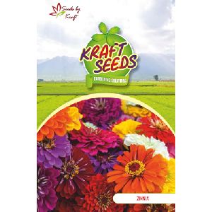 Zinnia Dahlia Flower Seeds