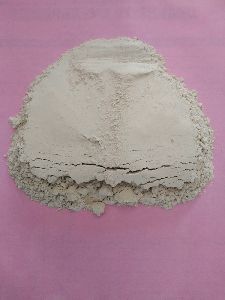 Shatavari Powder