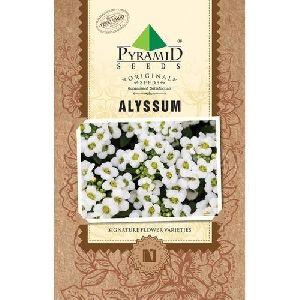 Alyssum Seeds