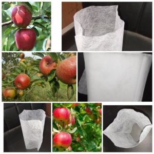 Non Woven Apple Fruit Crop Cover