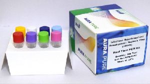 PCR Detection Kit