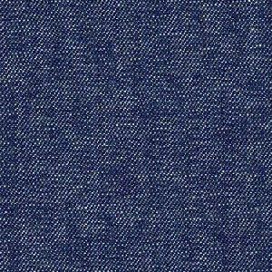 Indigo Fabric