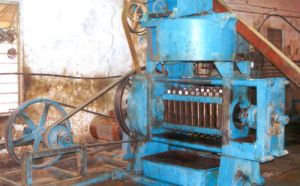 Oil Expeller Machine