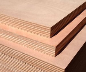 Mr Grade Plywood