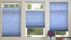 Cellular Blinds