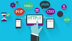 Web Development Services