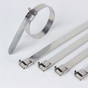 Stainless Steel Cable Tie