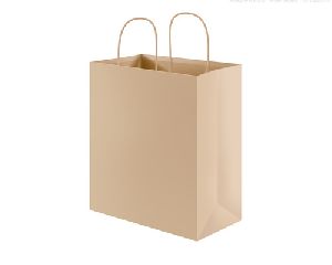 Shopping Paper Bags