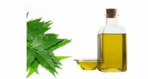 Neem Seed Oil