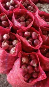 Fresh Red Onion