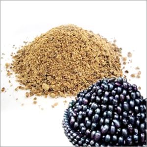 Jamun Powder