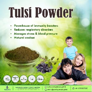 Tulsi Powder