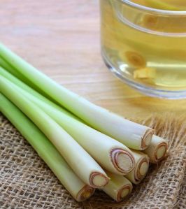 Lemon Grass Extract